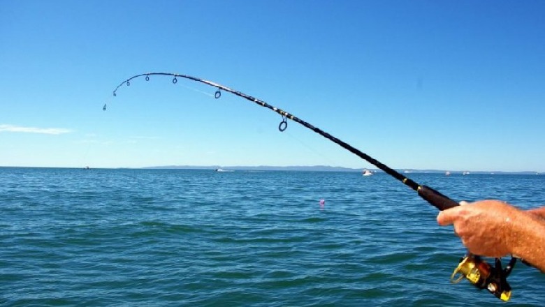 Peshkimi në vendnumëro më 2019, zënia u rrit vetëm me 0.9%