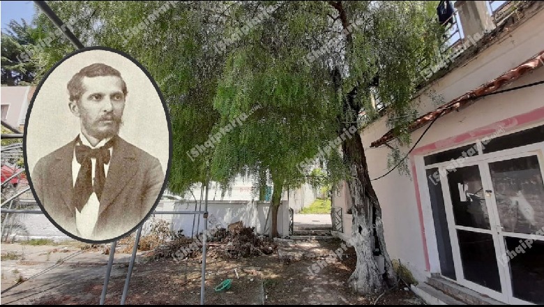 Eksperti e konfirmon për Report Tv: Pema e Piperit në qendër të Sarandës e mbjellë nga Naim Frashëri 145 vite më parë...(e harruar nga autoritetet)