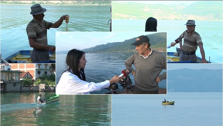 REPORTAZH/ Me peshkatarët në liqenin e Ohrit, për 'gjah' në kërkim të koranit