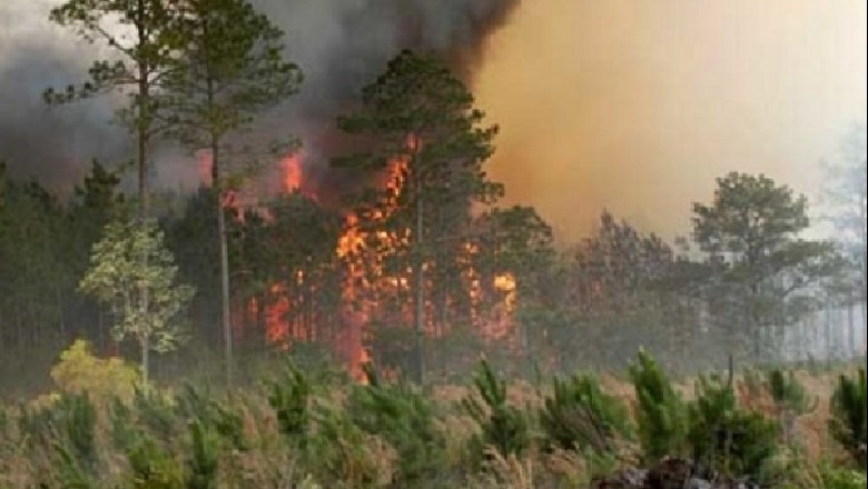 10 vatra aktive zjarri! 200 efektivë të FA në terren, Ministria e Mbrojtjes: Asnjë qytetar i rrezikuar