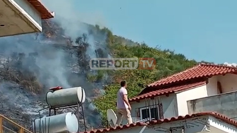 Flakët përfshijnë një pyll pranë Liqenit të Sharrës, zjarri rrezikon seriozisht banesat (VIDEO)