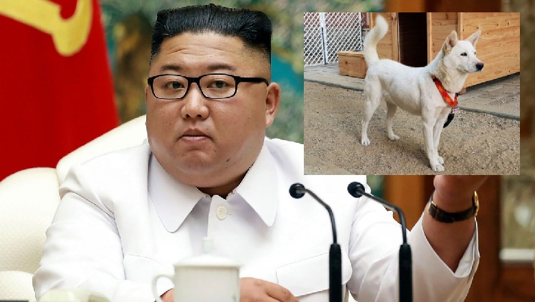 Koreja e Veriut ndalon qentë në shtëpi, Kim Young Un: Kafshët janë elemente borgjeze