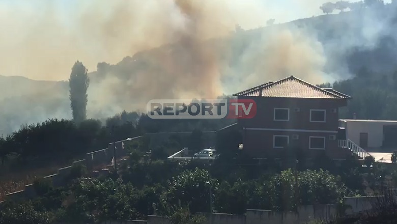 Zjarri përpin kurorën e Peqinit, rrezikohen disa shtëpi! Në vendngjarje edhe zjarrëfikset e Elbasanit (VIDEO)