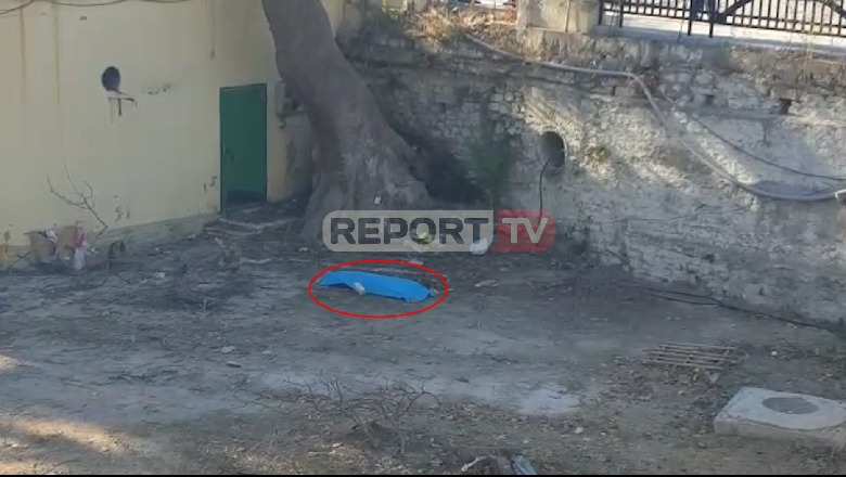 Bie nga lartësia duke prerë pemën, vdes punonjësi i drejtorisë së bashkisë në Berat (VIDEO)