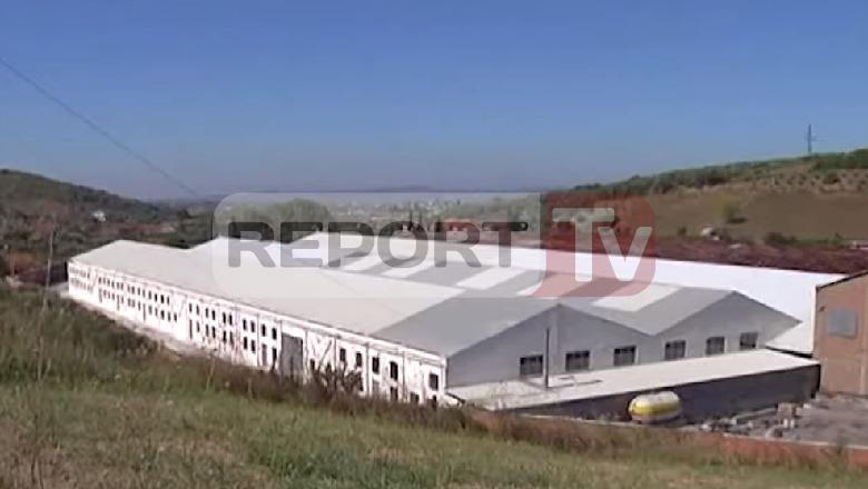 Pas denoncimit të Report Tv, IKMT gjobë 2 mln lekë fabrikës së peshkut në Lushnje