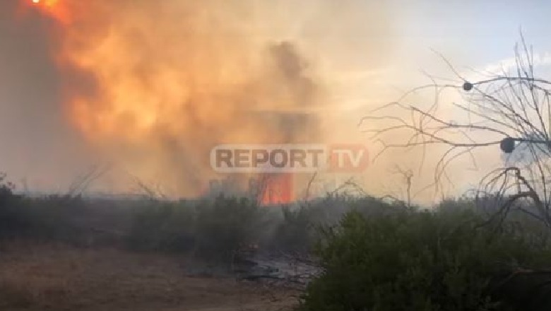 Vijon zjarri në zonën e mbrojtur në Vjosë-Nartë,  zjarrfikësit në luftë me flakët që prej mëngjesit