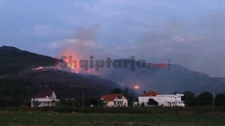 Zjarri në Lezhë merr përmasa të frikshme, ish-deputeti: Flakët kanë rrethuar 5 banesa, sillni ndihmë nga ajri