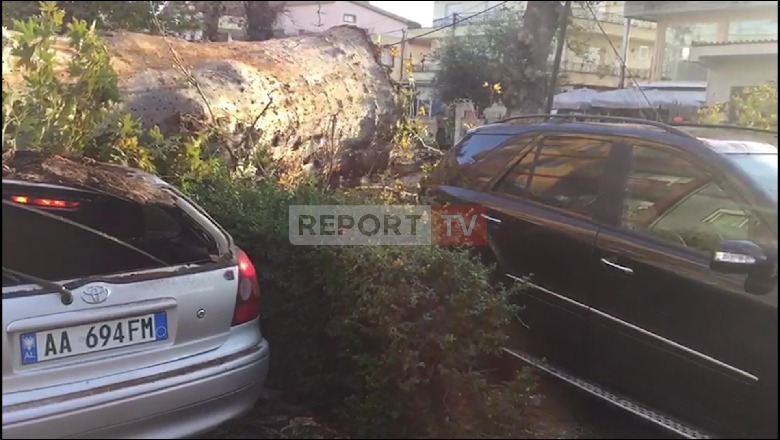 Rrëzohen dy rrape shekullor, dëmtohen 3 makina të parkuara dhe bllokohet rruga nacionale Fier-Vlorë (VIDEO)