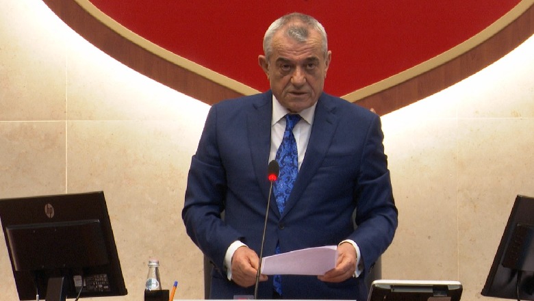 Dita ndërkombëtare/ Ruçi: Krenar që Kuvendi i Shqipërisë hapi rrugën për mundësinë e votës së emigrantëve nga vendet ku jetojnë