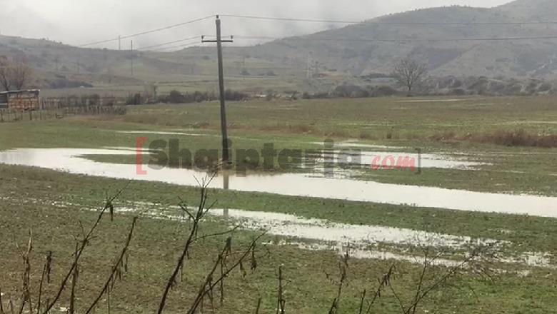 Reshjet e dendura të shiut/ S’ka përmbytje në Korçë, por disa zona pa energji