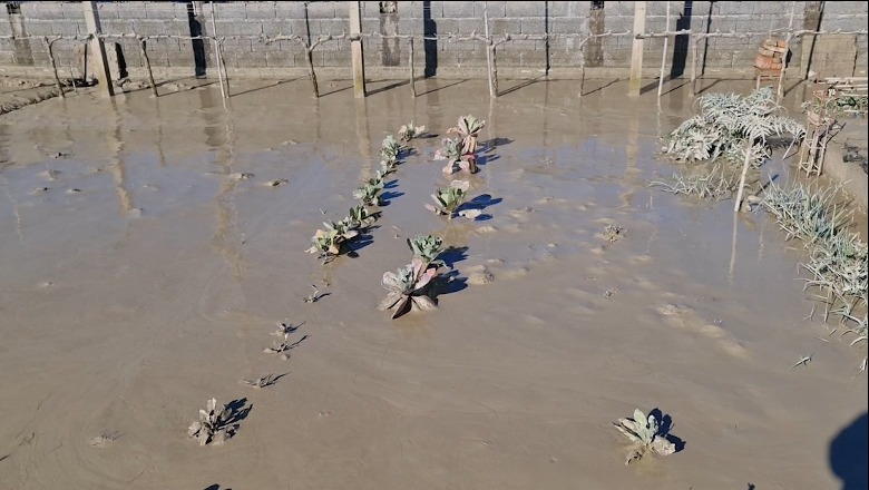 Pasojat e përmbytjeve Katund i Ri në Durrës e Kurbin, uji tërhiqet por dëmet janë të shumta