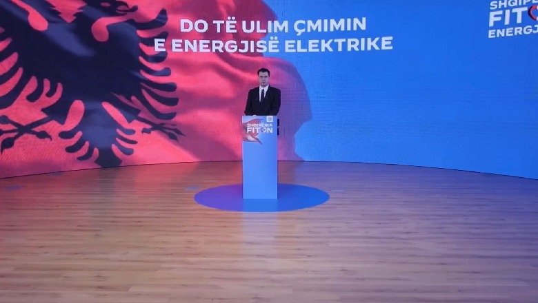 Basha premton Bursën Shqiptare të Energjisë e ngritur në 2020, PS ironizon: Ka qenë në gjumë Luli