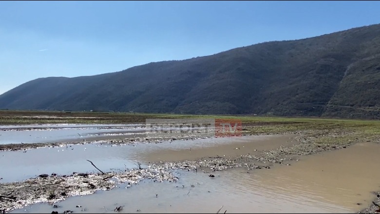 Përmbytjet, fermerët e Lezhës kërkojnë dëmshpërblim