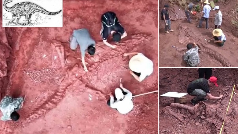 Zbulohet skeleti i një dinozauri në Kinë, mendohet se ka jetuar rreth 180 milion vjet më parë