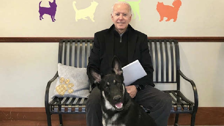Trishtim në Shtëpinë e Bardhë, Presidenti Biden humb mikun e tij  me 4 putra Champ