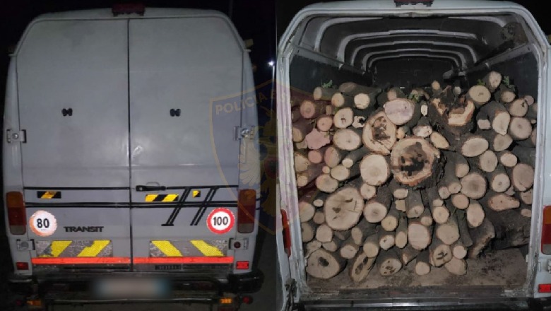 Prinin dru në pyje në mënyrë të paligjshme, në hetim 2 persona në Durrës! Sekuestrohet 5m3 dru zjarri dhe mjeti që i transportonte