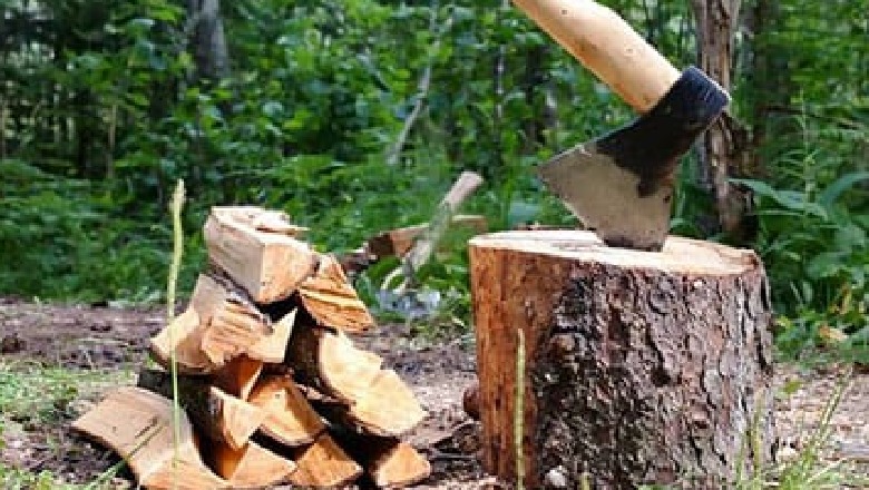 Iku për të prerë dru në mal, zhduket prej një jave 40-vjeçari në Martanesh