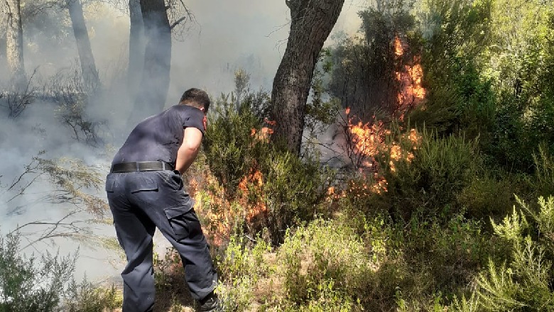 Zjarr në pyllin me pisha në fshatin Gjorgoz të Patosit, era e fortë dhe temperaturat e larta favorizojnë flakët