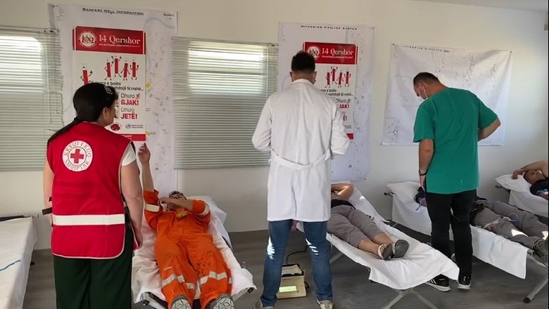 Punonjësit e Bankers Petroleum Albania dhurojnë gjak për fëmijët talasemikë