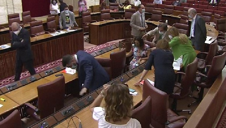 Videolajm, miu ndërpret seancën parlamentare në Andaluzi, ligjvënësit ngrihen të tmerruar nga karriget