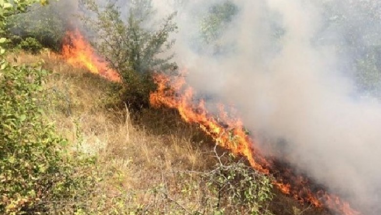 Ndezi zjarr në tokën e saj, por i doli jashtë kontrollit duke djegur një ullishte në kodrën e fshatit, nën hetim 45-vjeçarja në Kurbin