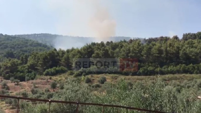 Zjarri në pyllin me pisha në fshatin Gjorgoz të Fier, punonjësi i pyjores izolohet mes flakëve dhe tymit, shpëtohet nga zjarrfikësit