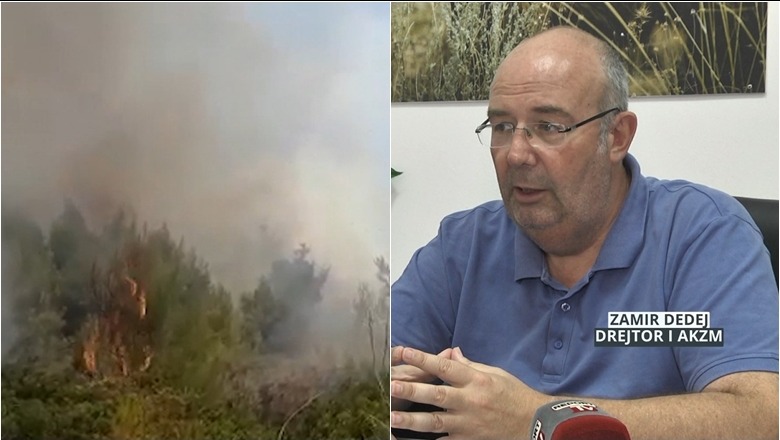Kreu i Zonave të Mbrojtura, Zamir Dedej: Barinjtë po na vënë zjarrin! Vështirësia për fikjen në zonat malore