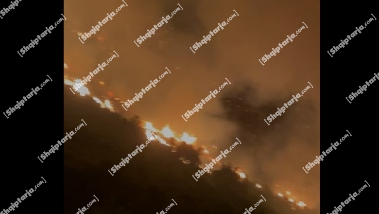 Zjarret në Vlorë, 3 helikopterë në ‘luftë’ me flakët, merren me qira