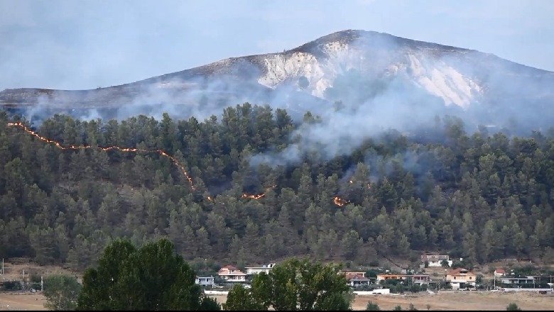 Zjarri që shkaktoi viktimën në Gjirokastër, Braçe: Ishte i qëllimshëm, kush e vuri është vrasës