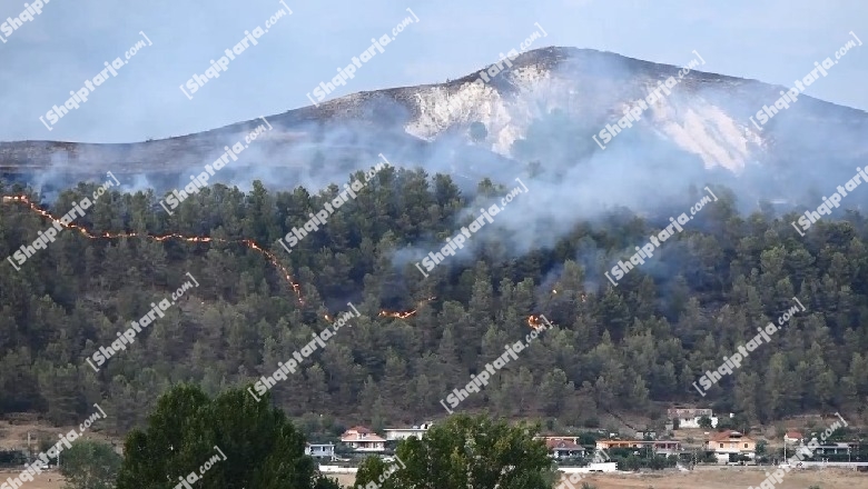 Zjarret 'pushtojnë' vendin nga veriu në jug, 9 vatra aktive, digjen me dhjetëra hektarë pyje! Situata kritike në Gjirokastër e Karaburun, po ndërhyhet nga ajri