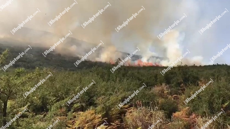 Nesër temperatura deri në 38 gradë C, mbetet i lartë kërcënimi nga zjarret, IGJEUM: Fieri, Vlora dhe Gjirokastra, qarqet më të rrezikuar