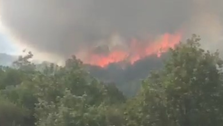 Zjarri rrezikoi banesat e tyre në Gjirokastër, dëshmitë e banorëve: S’rrimë dot në këmbë, do kishim vdekur se na bllokoi tymi