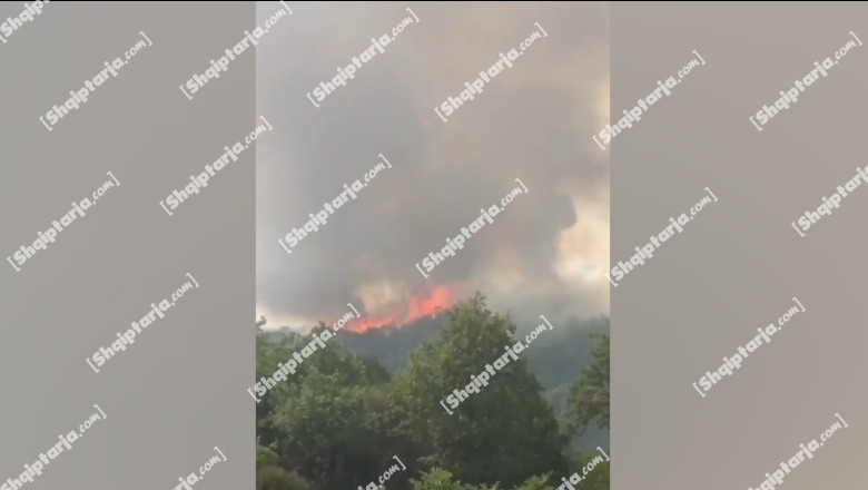 Zjarr i përmasave të mëdha në 3 fshatra të Mallakastrës, digjen 35 hektarë pyje e ullishte! Flakët i afrohen një lagjeje