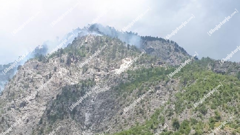 Vatër zjarri pranë zonës së mbrojtur 'Lugina e Valbonës', flakët po përhapen në sipërfaqen pyjore