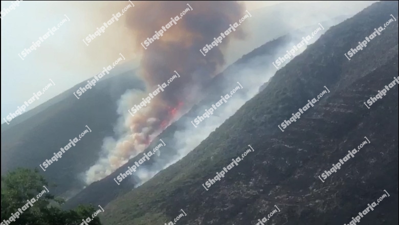 Shuhen të gjitha vatrat e zjarrit në Karaburun, shpëton parku i Llogarasë