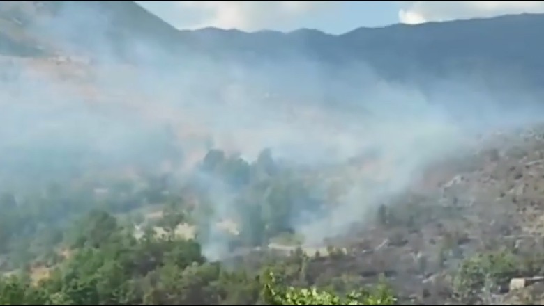 Zjarret në vend, 5 të arrestuar, 1 në kërkim! Dy kushërinj i vunë zjarrin pyjeve në Kreshpan dhe Gjorgos në Fier për të hapur kullota për bagëtitë