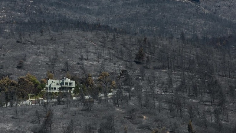 Zjarret në Greqi, digjet më shumë se 650 mijë hektarë tokë në të gjithë vendin