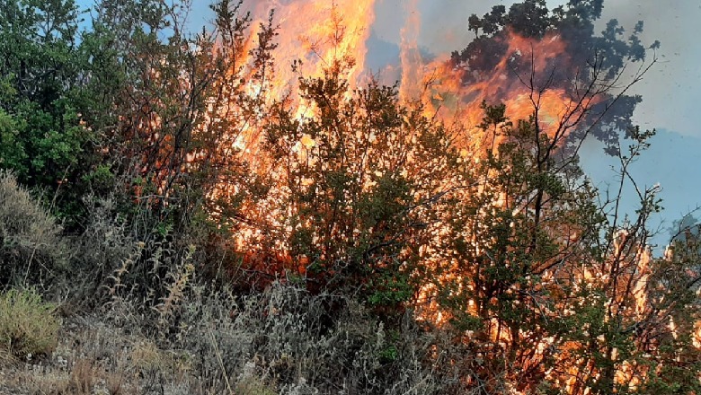 Situata me zjarret, Ministria e Mbrojtjes: Pak vatra të pashuara në veri të vendit, po punohet për izolimin e flakëve