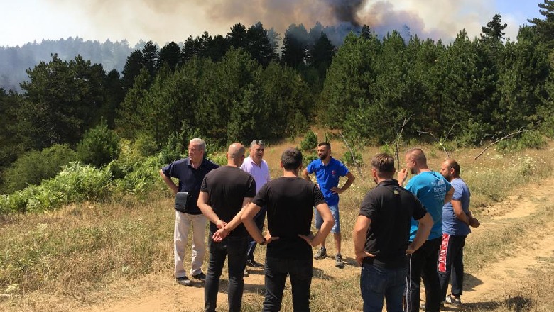 Zjarret/ Prefekti i Korçës, Spirollari për Report Tv: Nuk ka dëme në zonat e mbrojtura, gjithçka është nën kontroll
