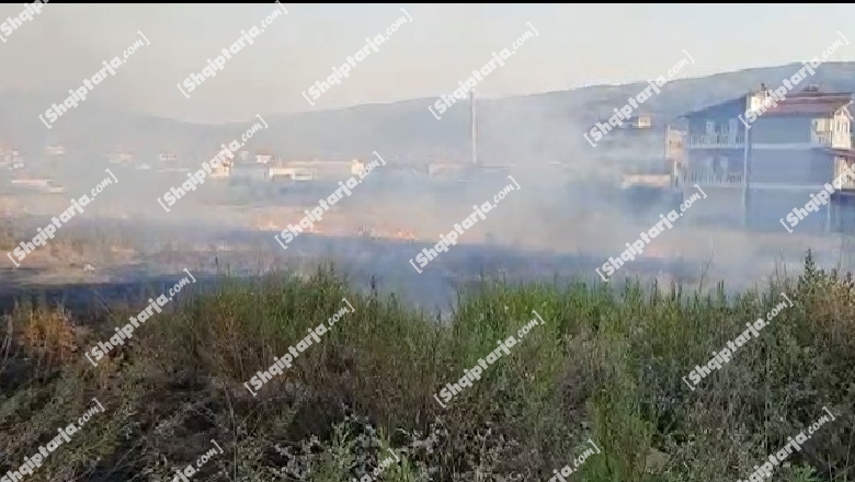 Zjarr në malin Partizan në Berat, dyshohet i qëllimshëm, po punohet për kapjen e autorit
