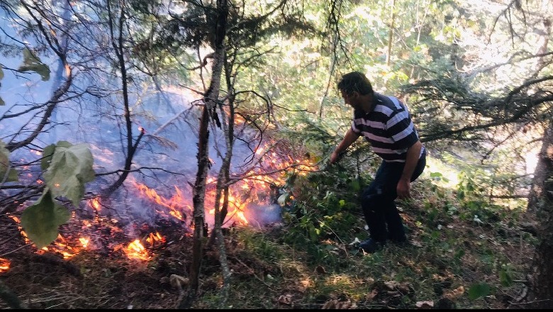 Izolohet plotësisht vatra e zjarrit në parkun natyror të Korabit, për shuarjen e flakëve ndihmuan edhe zjarrfikësit nga Kosova