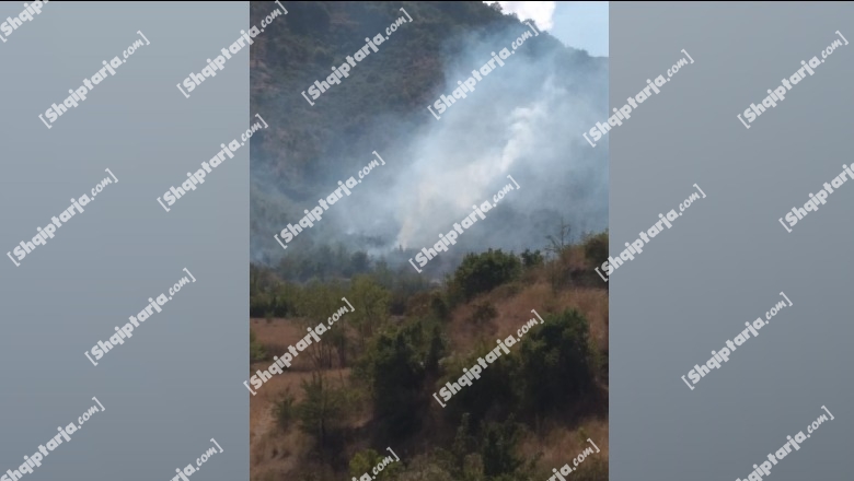 Zjarr në afërsi të ish-depove të municioneve ushtarake në Shtepëz në Gjirokastër, ndërhyrja në kohë e zjarrfikësve shuan flakët