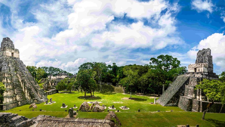 Sekreti gjenial i fiseve Maya për të mbijetuar