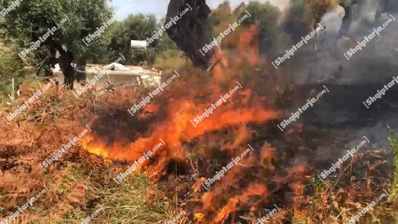 Zjarr në fshatin Peshkëpi e Kocul të Vlorës, situata problematike! Rrezikohen banesat dhe një fabrikë çimentoje