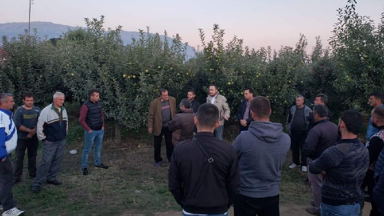 Salianji me fermerët në Korçë: Çmimi i farave dhe plehrave kimike u rrit në bashkëpunim me qeverinë