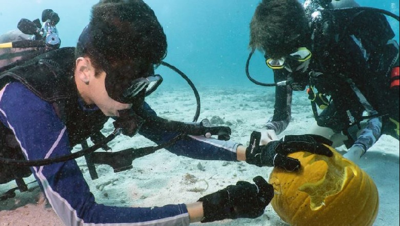 Kush do të gdhendi kungullin më të bukur nën ujë?! Dhjetëra zhytës bëhen pjesë e konkursit të pazakontë për Halloween-in në Miami 