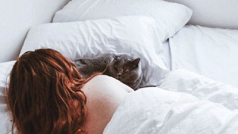 Çfarë duhet të keni parasysh nëse flini me macen tuaj në shtrat?