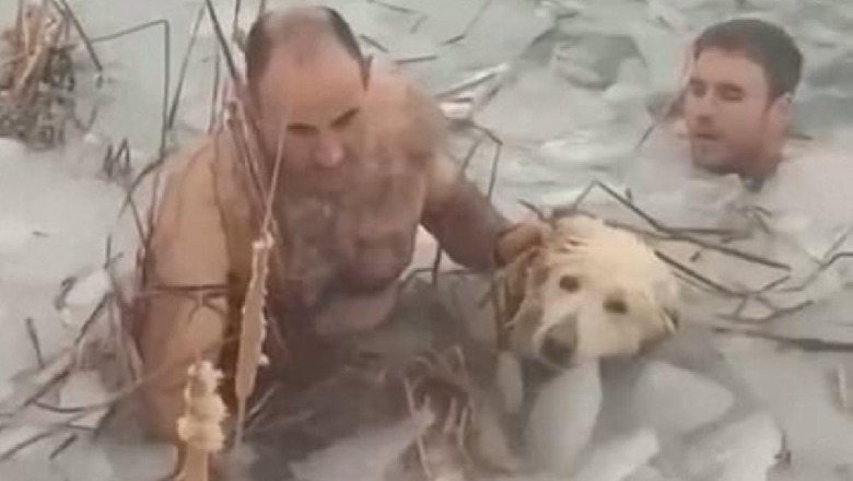 Qeni i bllokuar në akull, 2 oficerët e policisë në Spanjë bëjnë gjestin human për ta shpëtuar (VIDEO) 