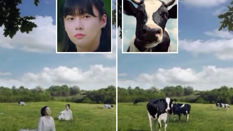 Krahasoi gratë me lopët në reklamë, kompania e Koresë së Jugut revolton konsumatorët: Seksiste (VIDEO)