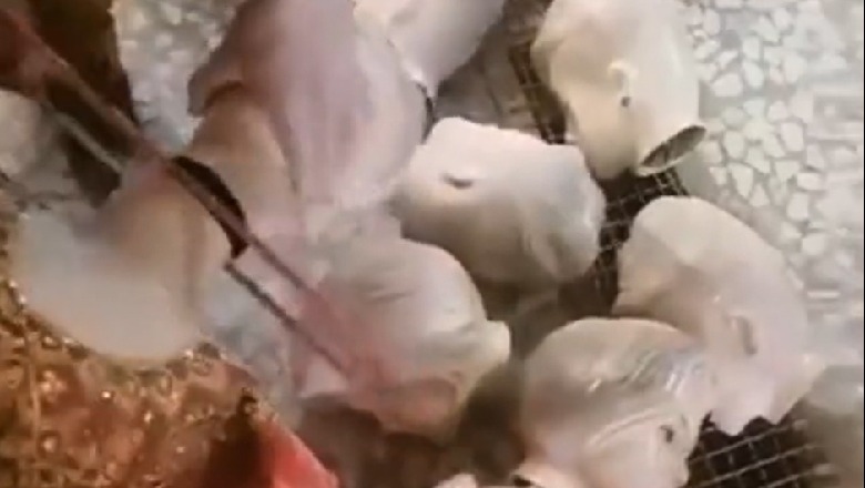 Talebanët urdhërojnë prerjen e kokave të manekinëve (VIDEO)
